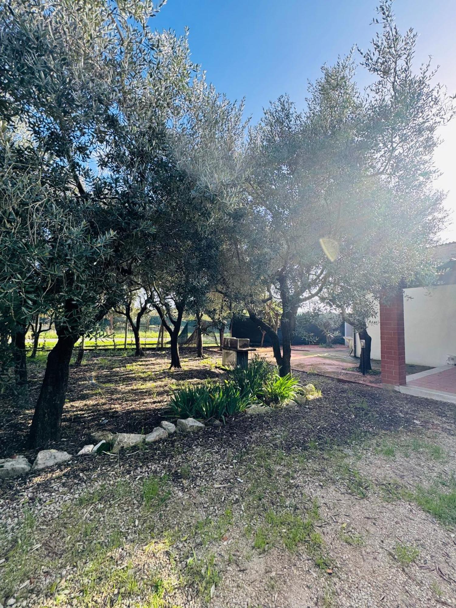 Villa La Perla Di Dea Lido Di Fondi Exterior foto