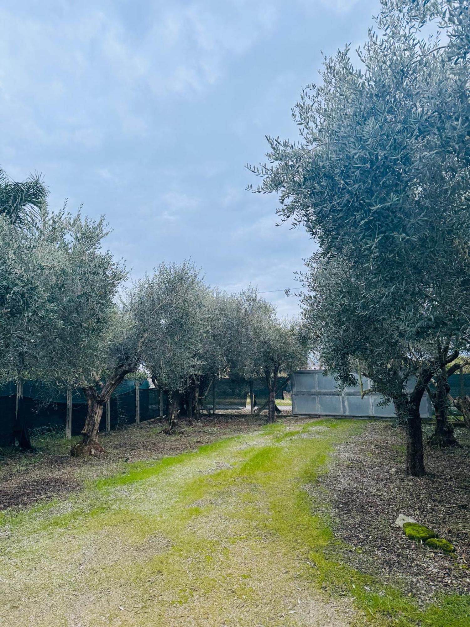 Villa La Perla Di Dea Lido Di Fondi Exterior foto